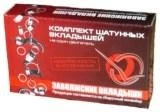 

Вкладыши ГАЗ 406 дв. (шатунные) 0,00 "ЗМЗ-Дайдо"