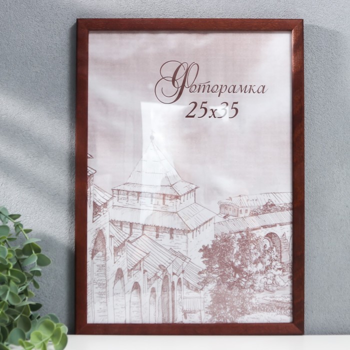 

Фоторамка сосна с14 01/6 25х35 см (пластиковый экран)