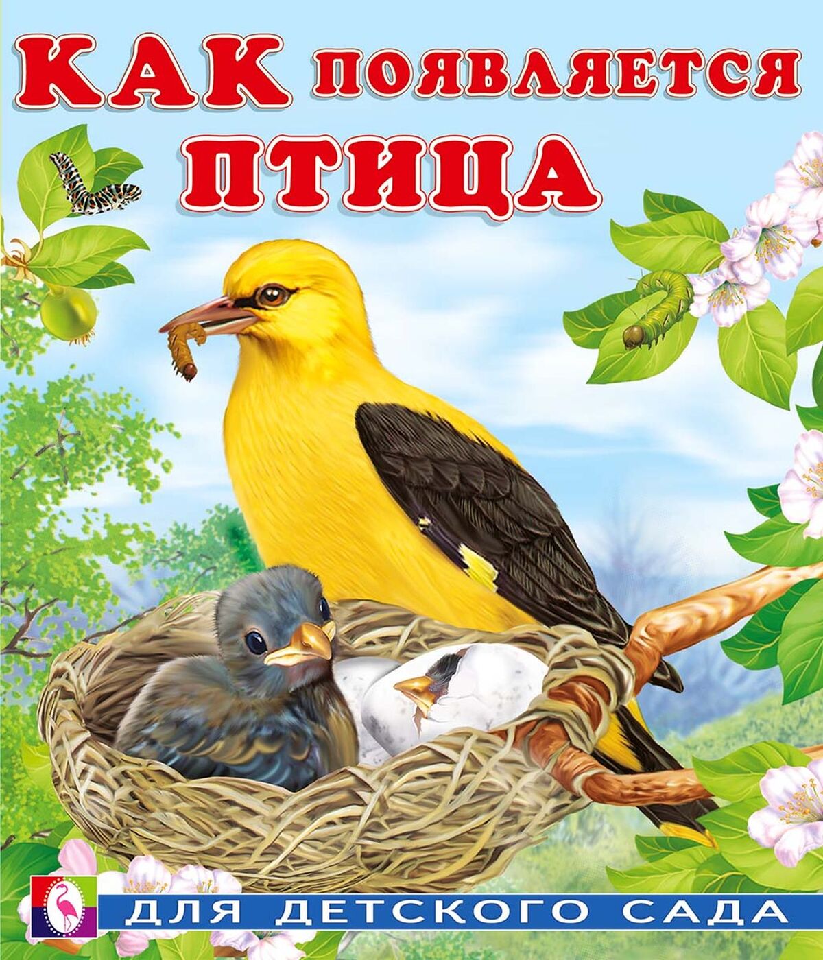 

Как появляется птица