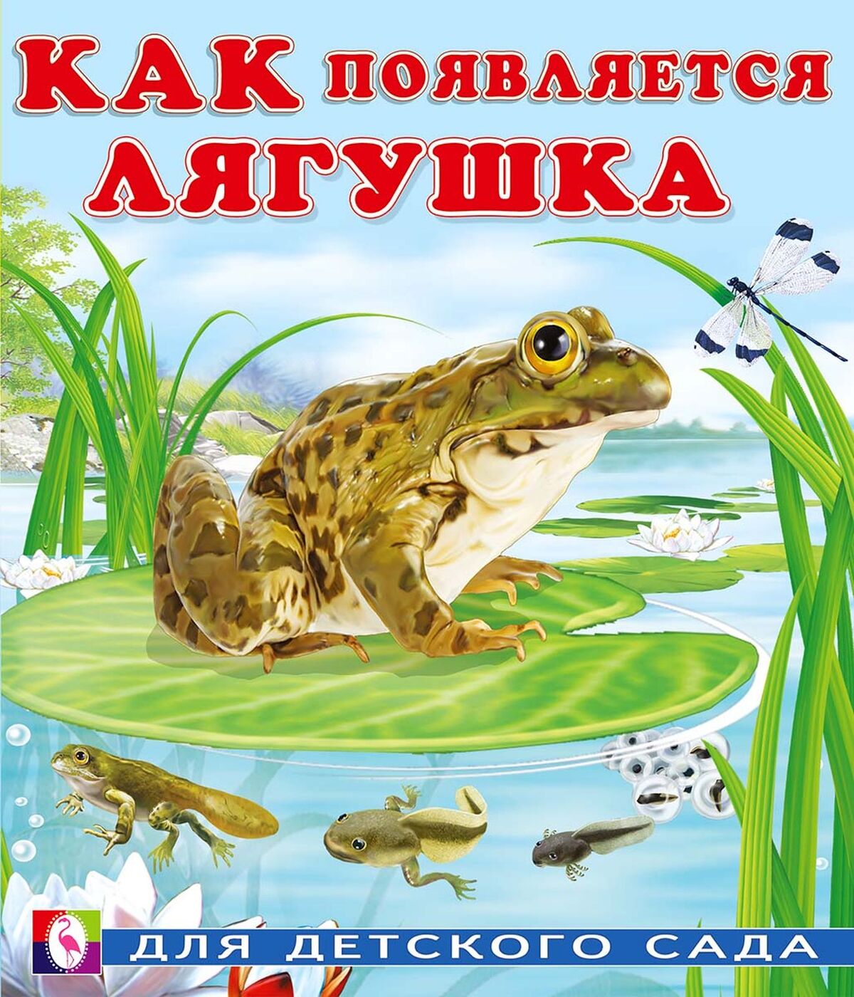 

Как появляется лягушка