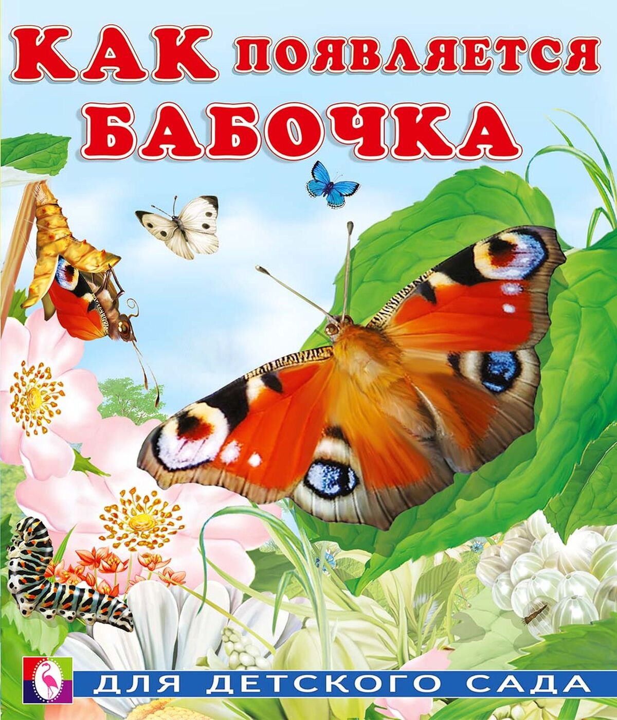 

Как появляется бабочка