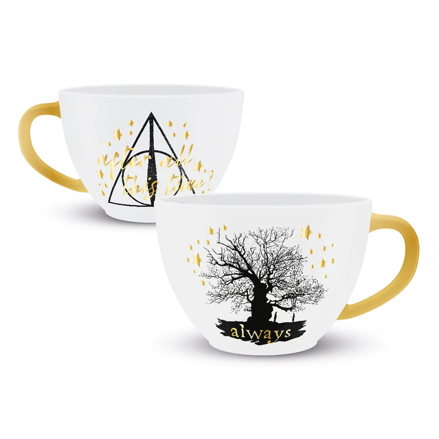 Кружка Pyramid International Harry Potter Always Themed SCMG26663 2790₽