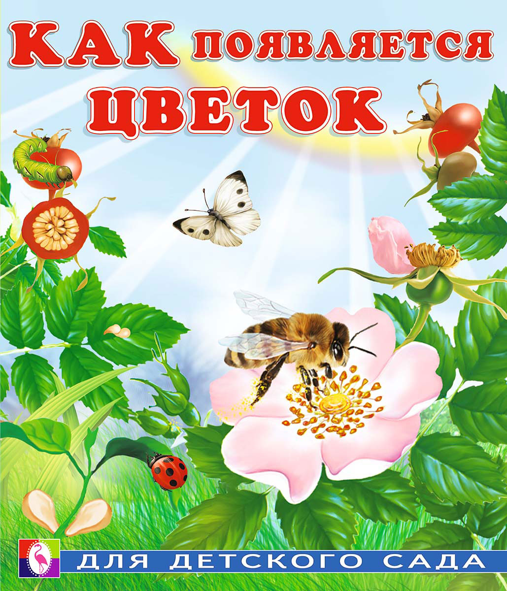 

Как появляется цветок