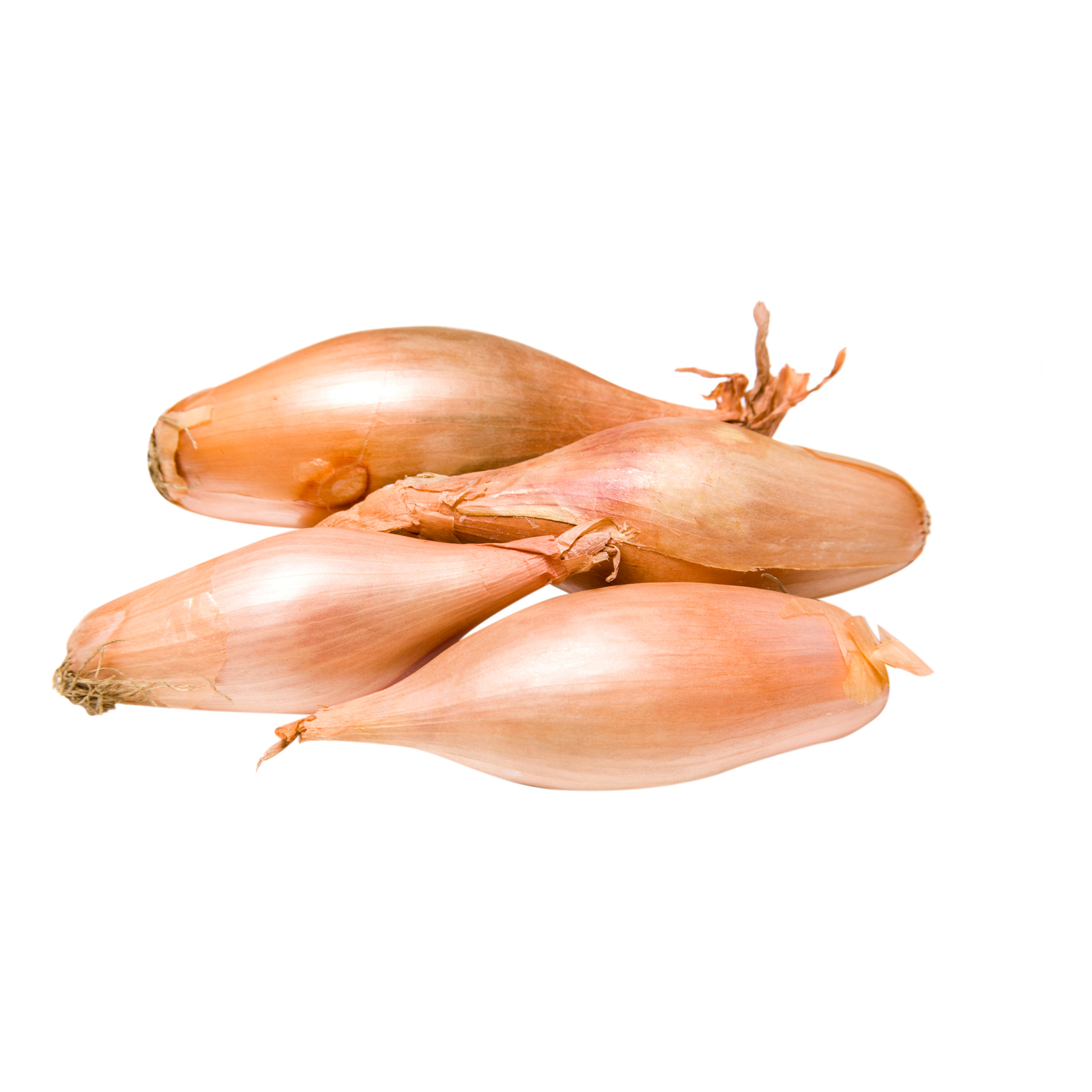 

Лук шалот