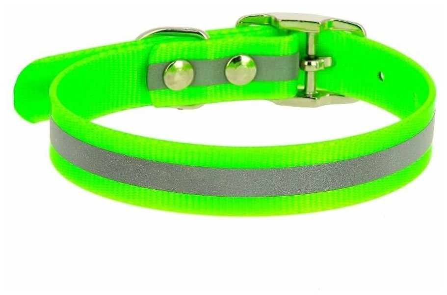 

ECOPET Ошейник из биотана шир. 12мм обх. шеи. 20-24см зеленый 2 шт, ECOPET Ошейник из биотана шир. 12мм обх. шеи. 20-24см зеленый (2 шт)