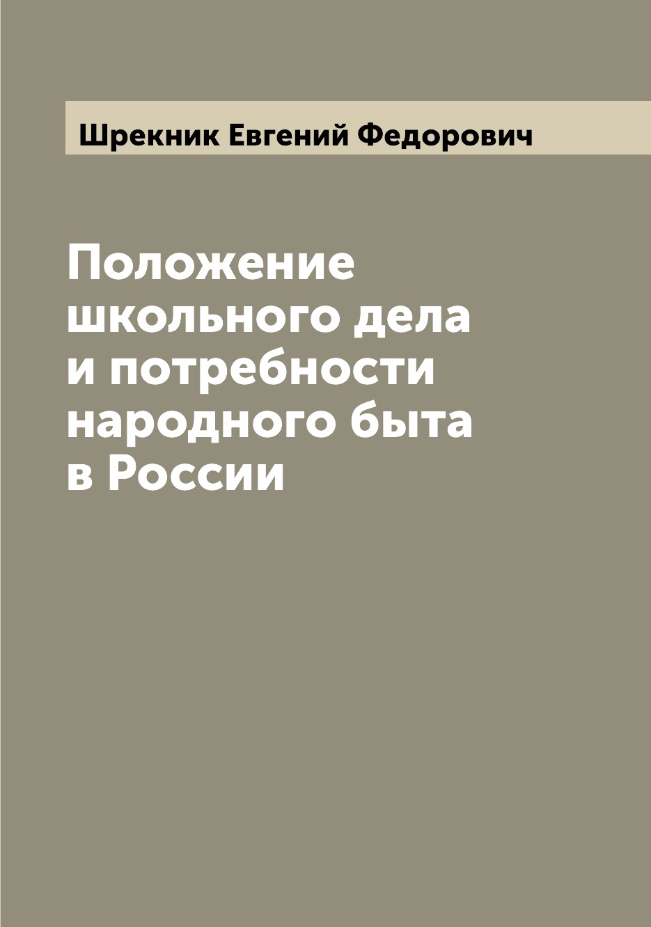 

Книга Положение школьного дела и потребности народного быта в России