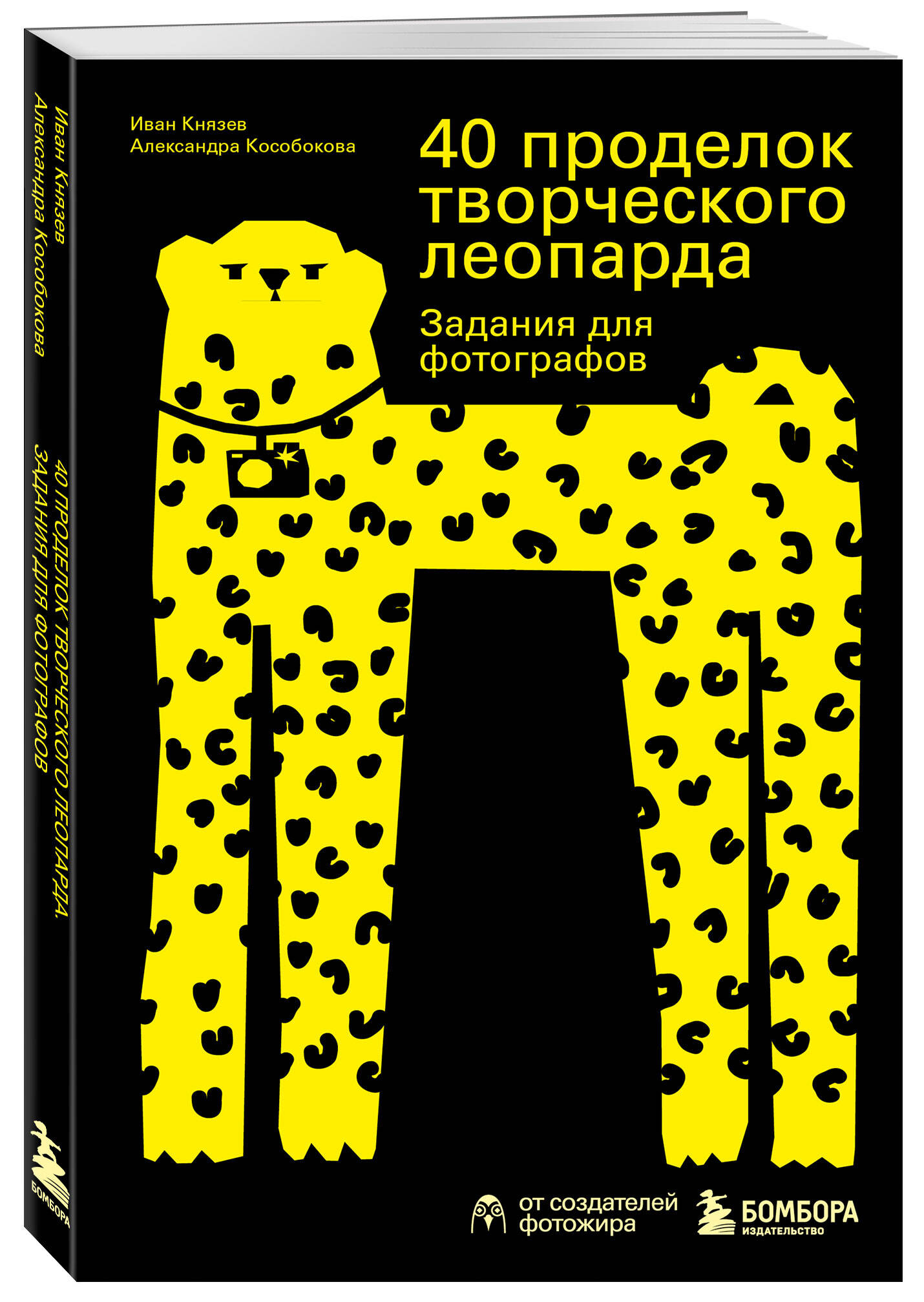 

40 проделок творческого леопарда Задания для фотографов