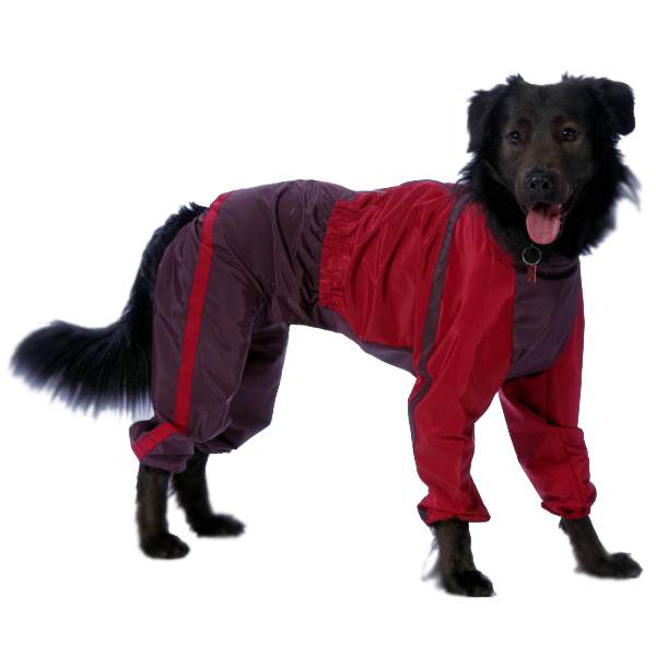 фото Комбинезон для собак тузик далматин спортивный теплый, женский, в ассортименте, 61см