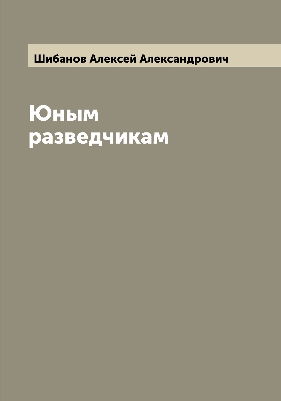 

Книга Юным разведчикам