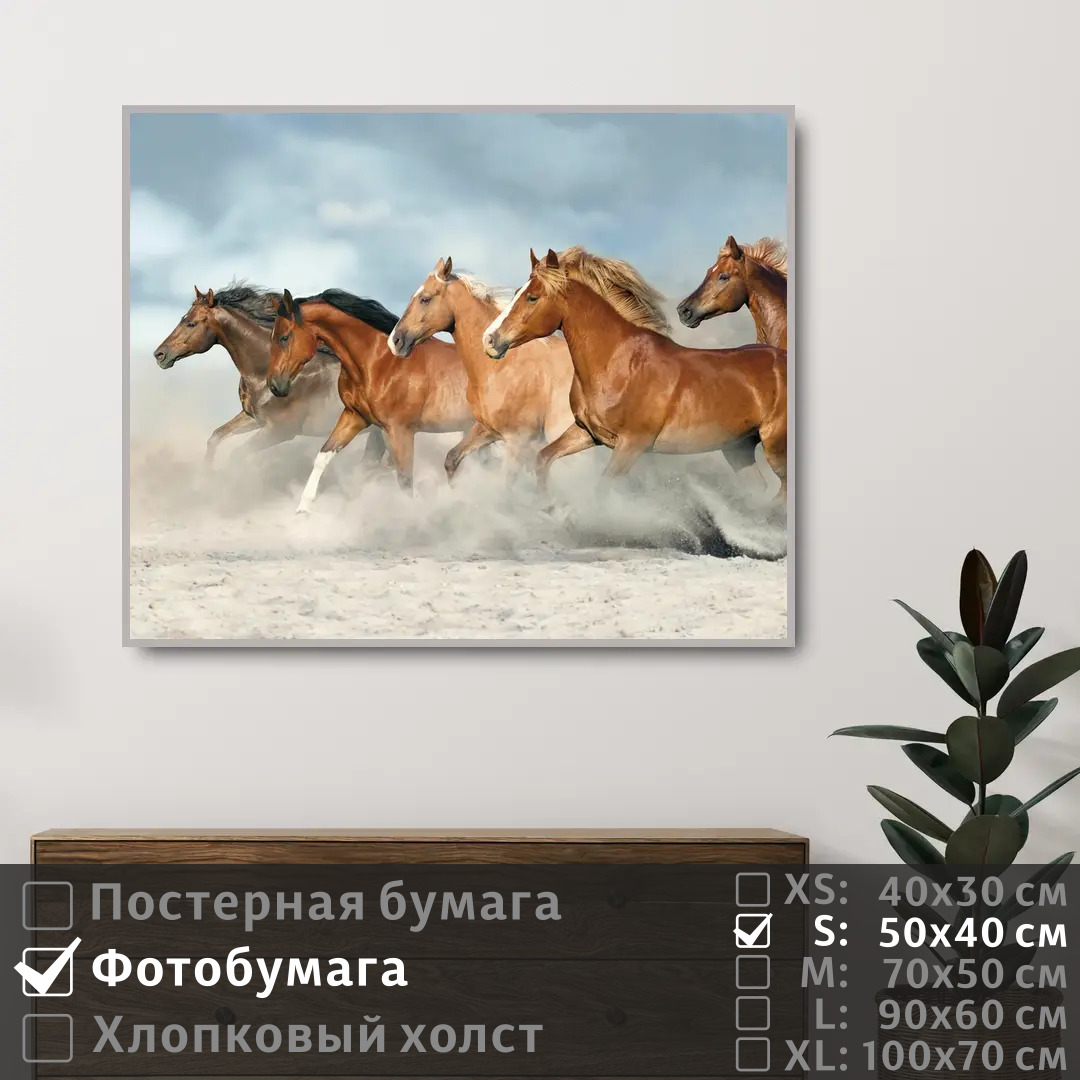 

Постер на фотобумаге ПолиЦентр Лошади скачут по песку 50х40 см, ЛошадиСкачутПоПеску
