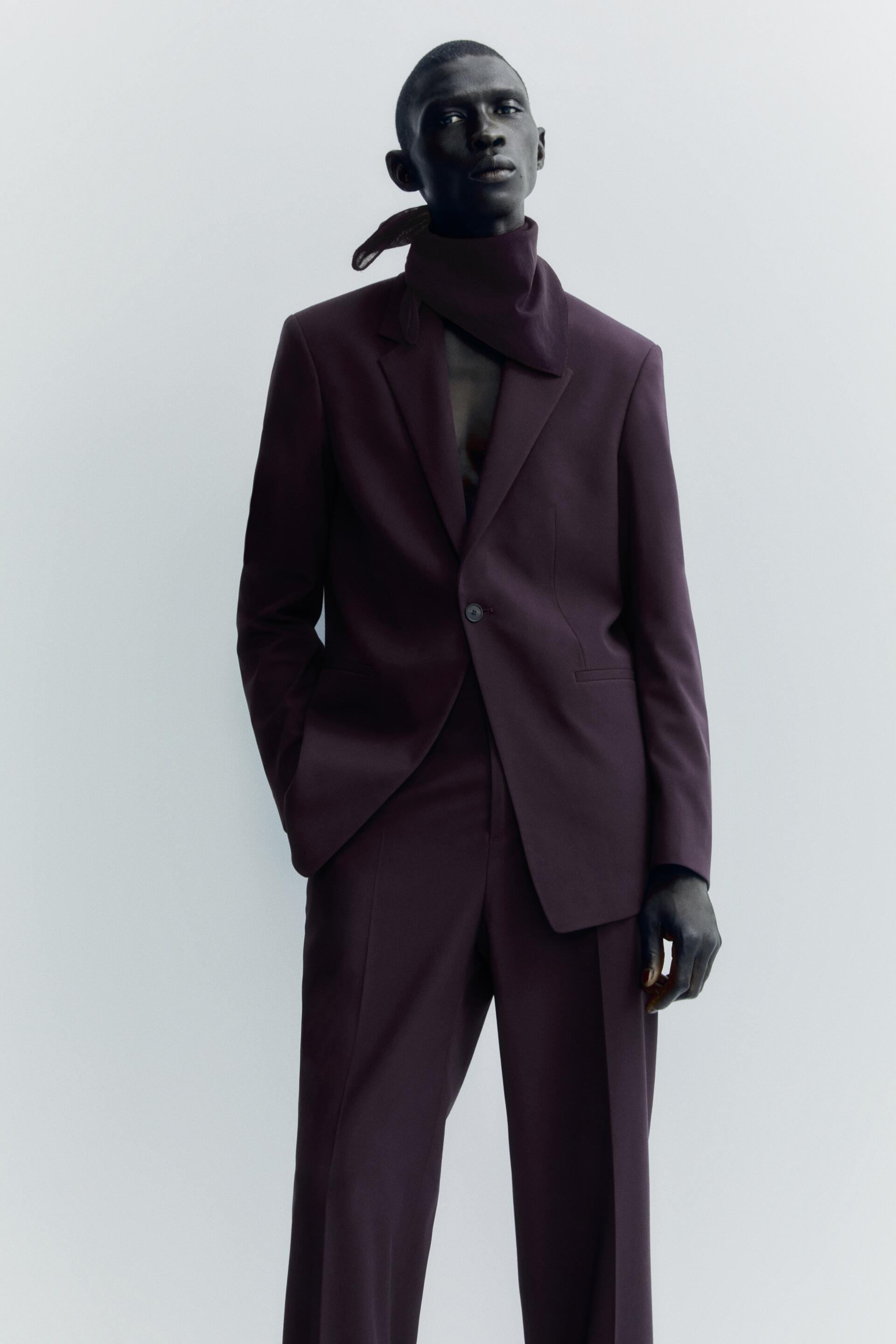 

Блейзер мужской ZARA 05808494 бордовый 46 RU, 05808494