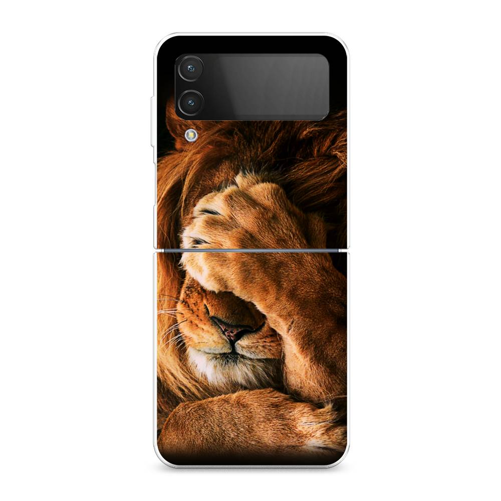 

Чехол Awog на Samsung Galaxy Z Flip 4 / Самсунг Z Flip 4 "Львиный стыд", Разноцветный, 2106650-1