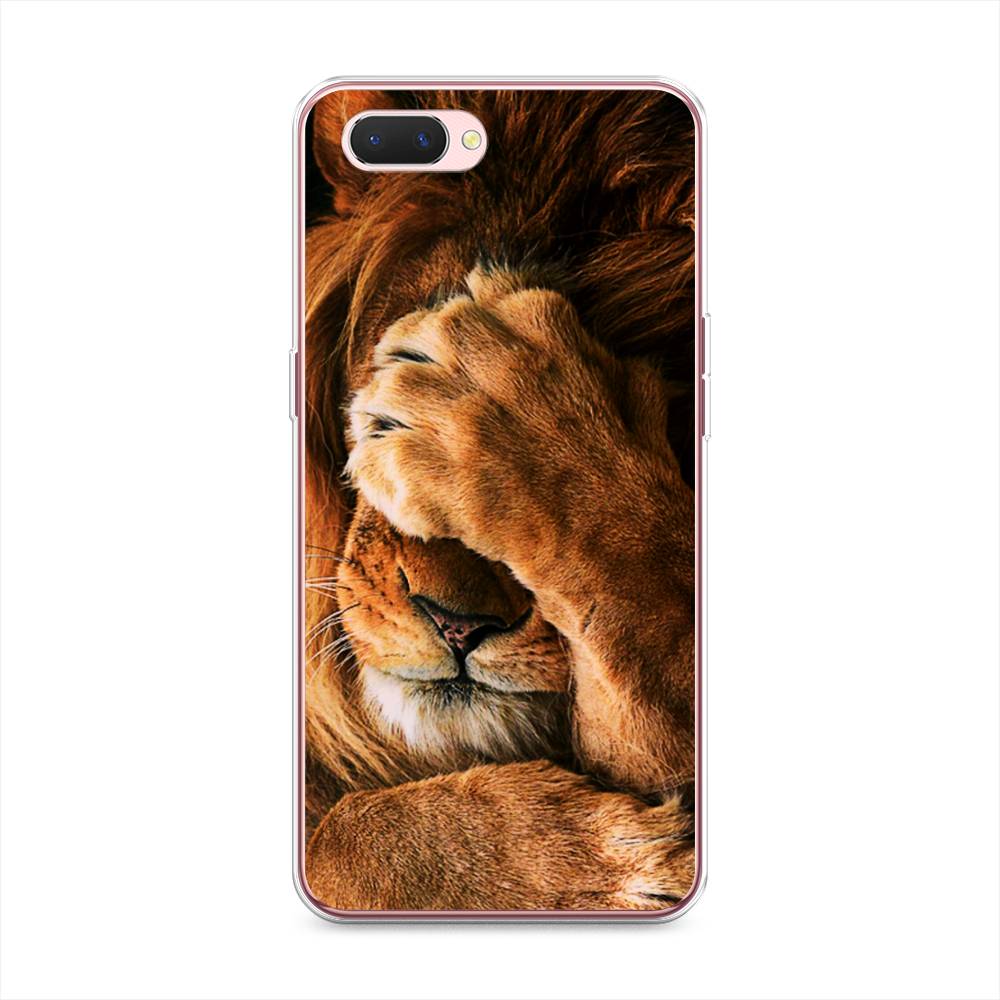 

Чехол Awog на Oppo A3s "Львиный стыд", Разноцветный, 252050-1