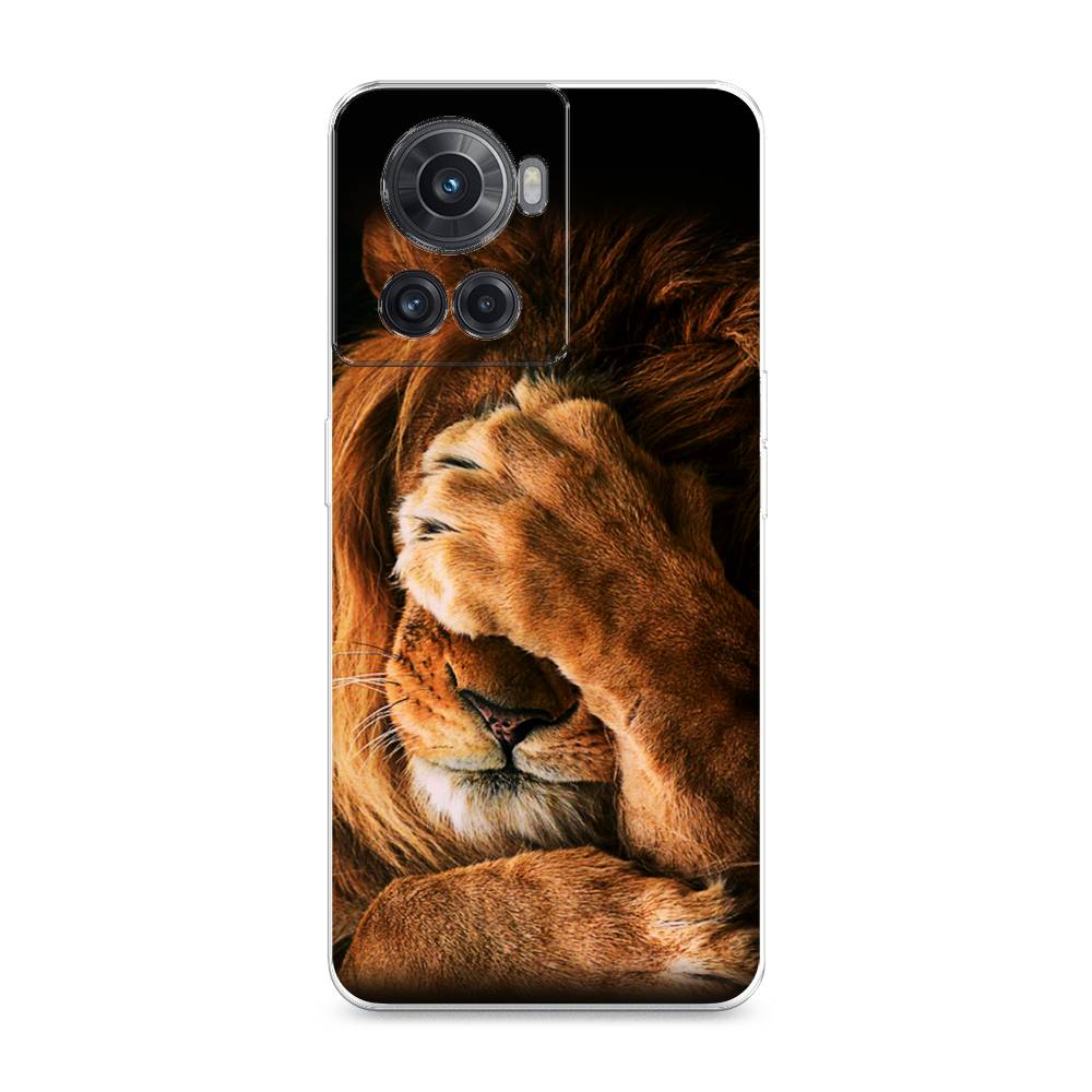 

Чехол Awog на OnePlus 10R / ВанПлас 10R "Львиный стыд", Разноцветный, 152950-1