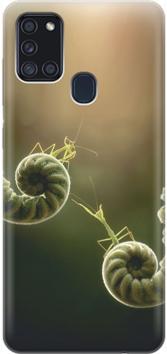

Силиконовый чехол на Samsung Galaxy A21s "Пара богомолов", Бежевый;зеленый, 1533
