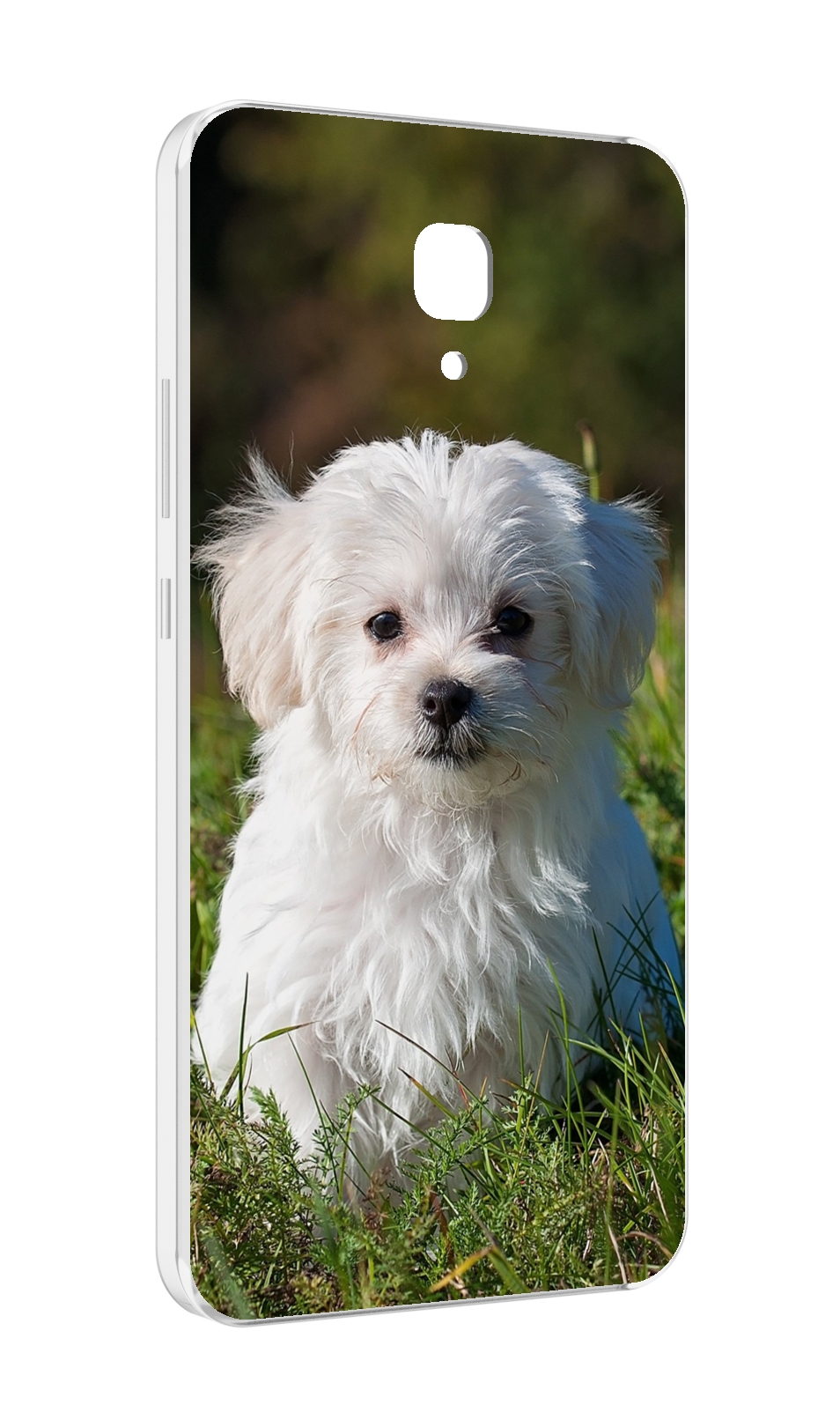 

Чехол MyPads мальтииская-болонка для Meizu M5 Note, Прозрачный, Tocco