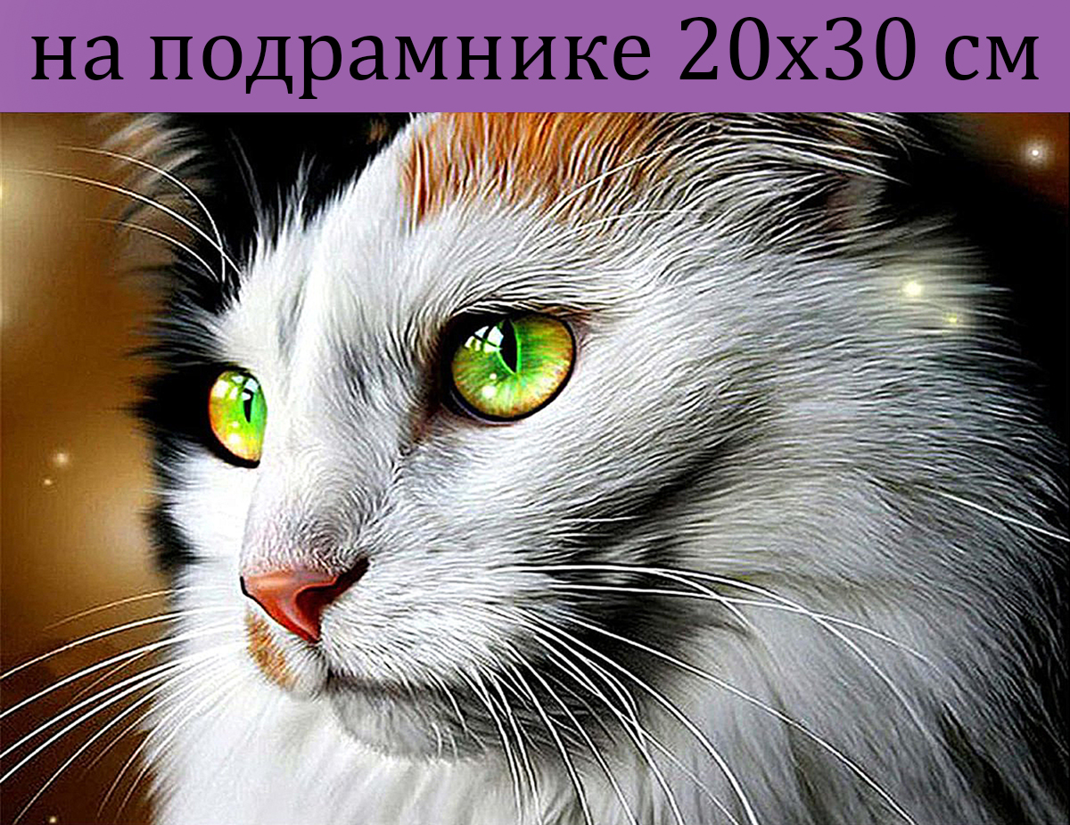 

Алмазная мозаика SZX727 кошка на подрамнике 20х30, 20х30