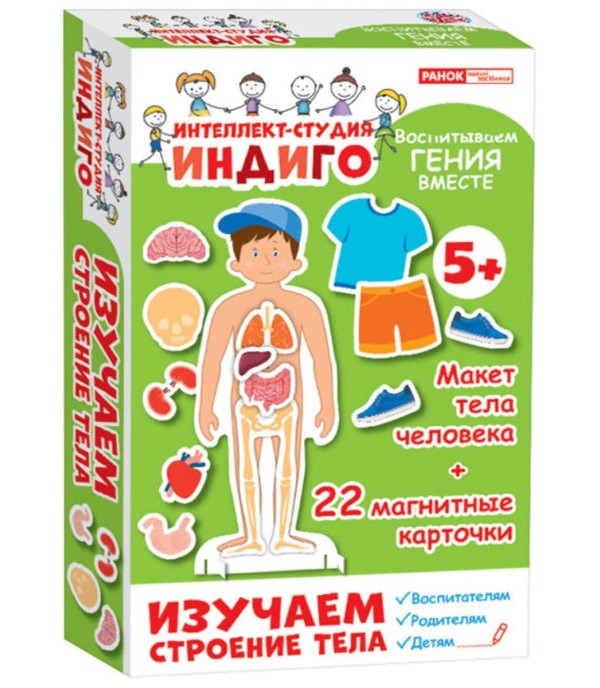 

Изучаем строение тела Ранок 12120106Р, 12120106Р