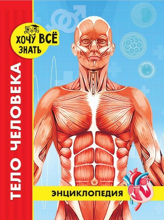 

Энциклопедия Хочу всё знать красная тело человека