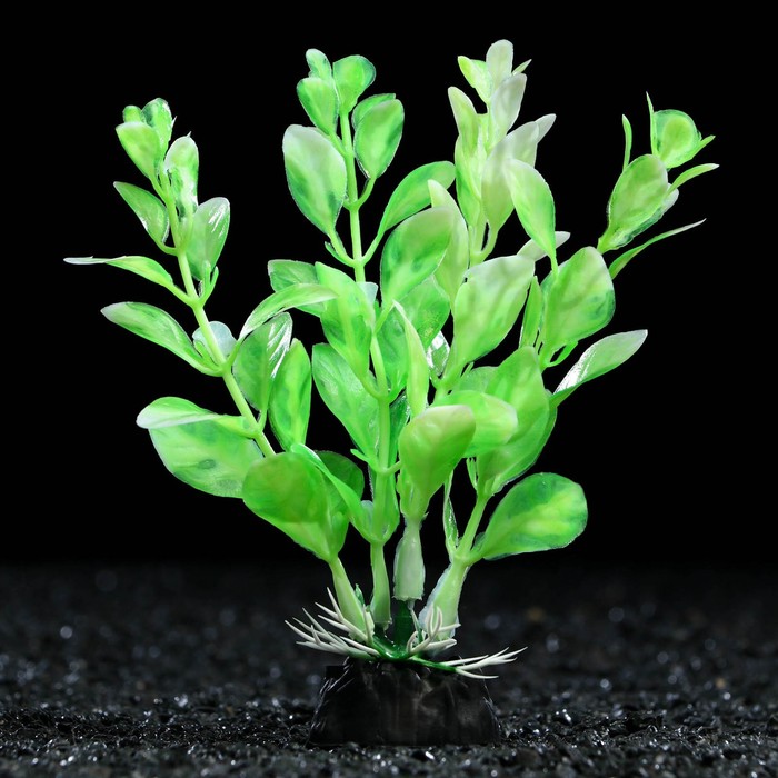 Искусственное растение для аквариума и террариума Пижон Аква зелёно-белое 5 шт
