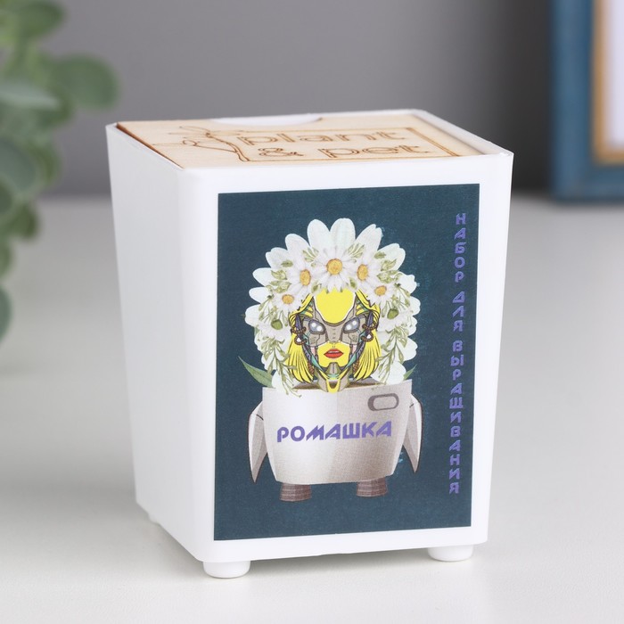 

Набор для выращивания P&P "Ромашка"