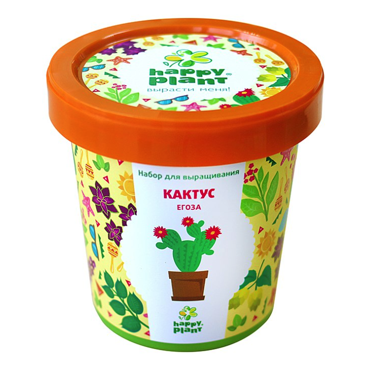 фото Набор для выращивания кактус егоза happy plant