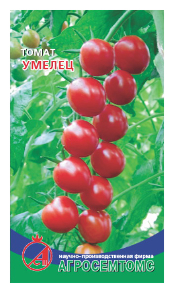 Семена томат Агросемтомс Умелец 17435 1 уп.