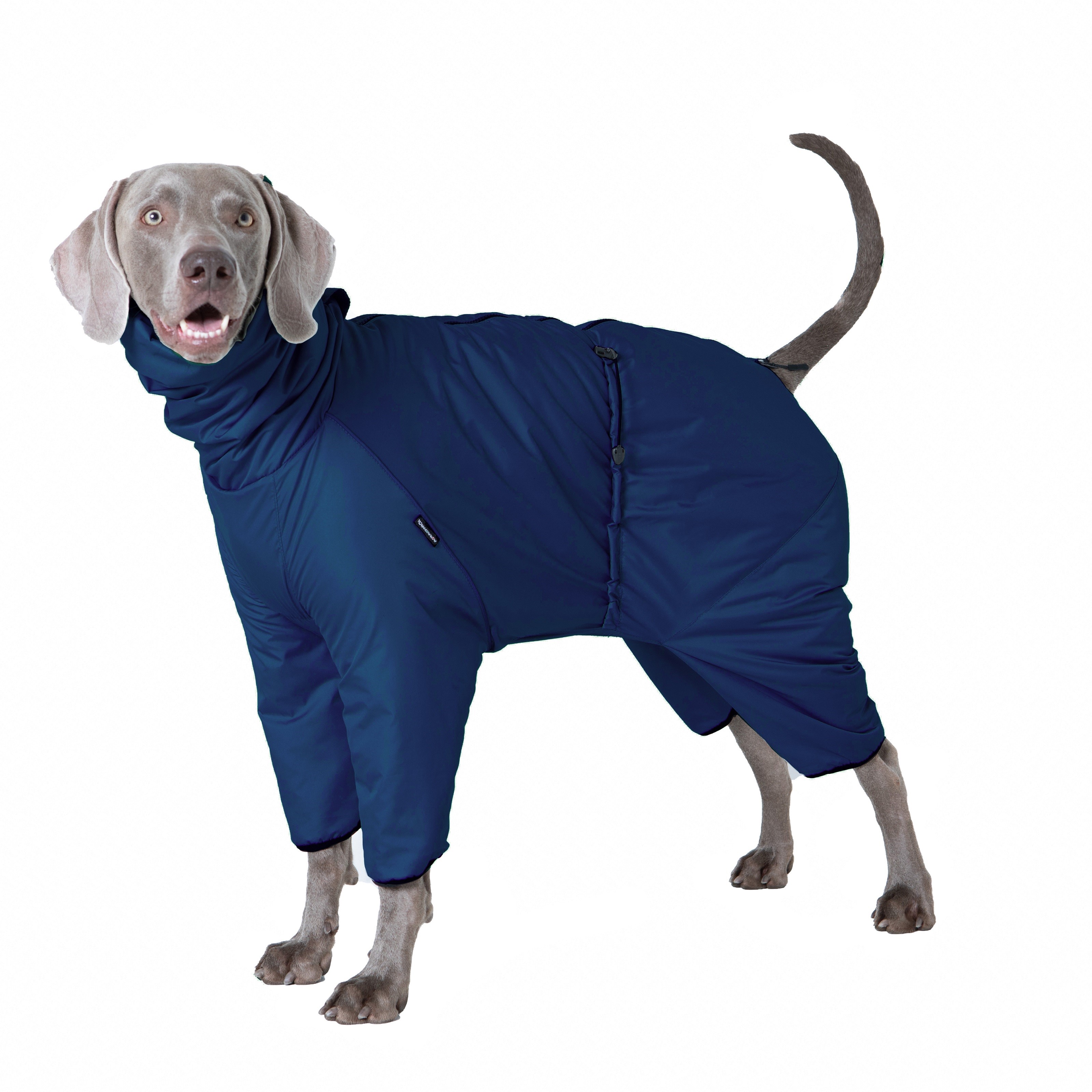 Комбинезон для собак Монморанси, утепленный, темно-синий, дюспо, длина спины 51 см