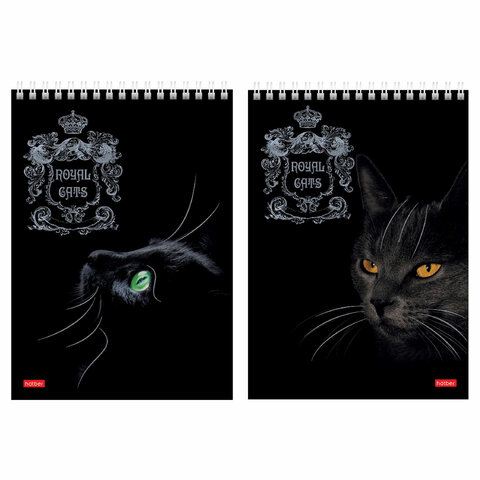 

Блокнот А5 (146х215 мм), 80 л., клетка, Hatber, Royal Cats, 80Б5лофВ1гр, 12 шт