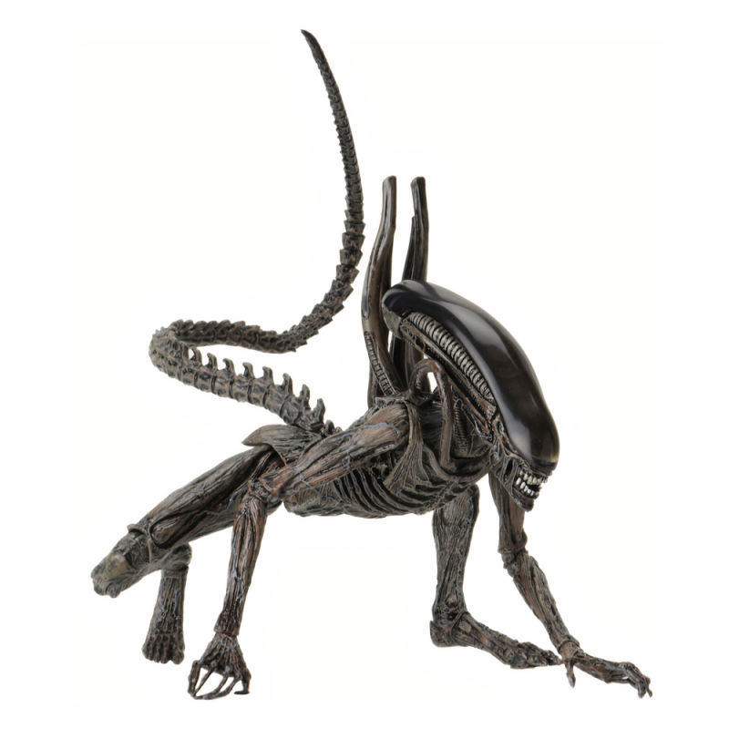 фото Фигурка neca alien чужой завет ксеноморф 17 см.