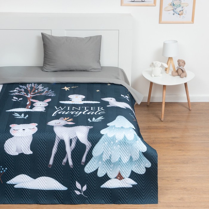 

Этель Покрывало детское Этель 1,5 сп Winter fairytale, 145х210 см, микрофибра, Синий
