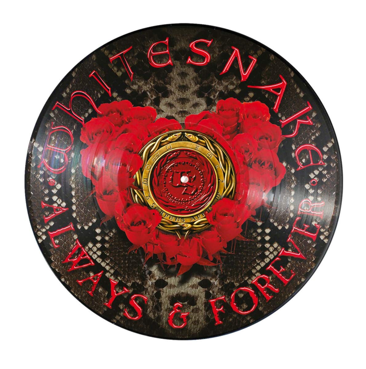 

Whitesnake - Always & Forever