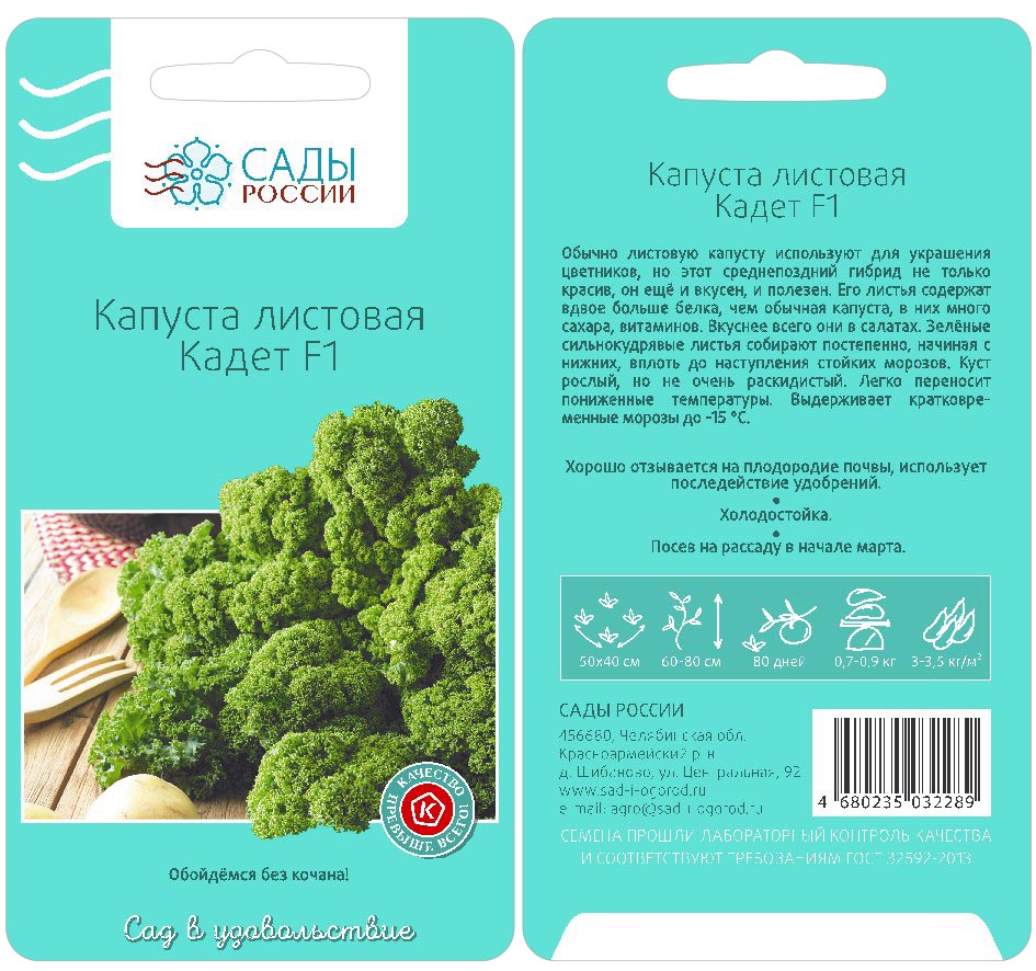 Семена овощей капуста листовая Кадет Сады России 20053 0,5 г