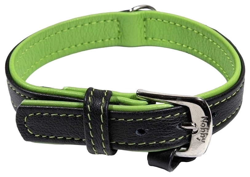 Ошейник для собак Nobby Pacific, зеленый, 17-19 мм, 37 см