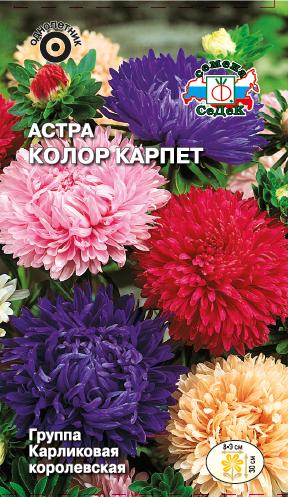 

Семена астра СеДеК Колор карпет 1625 1 уп.