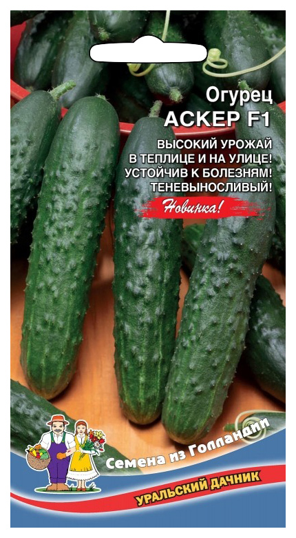 

Семена огурец Уральский дачник Аскер F1 18241 1 уп.