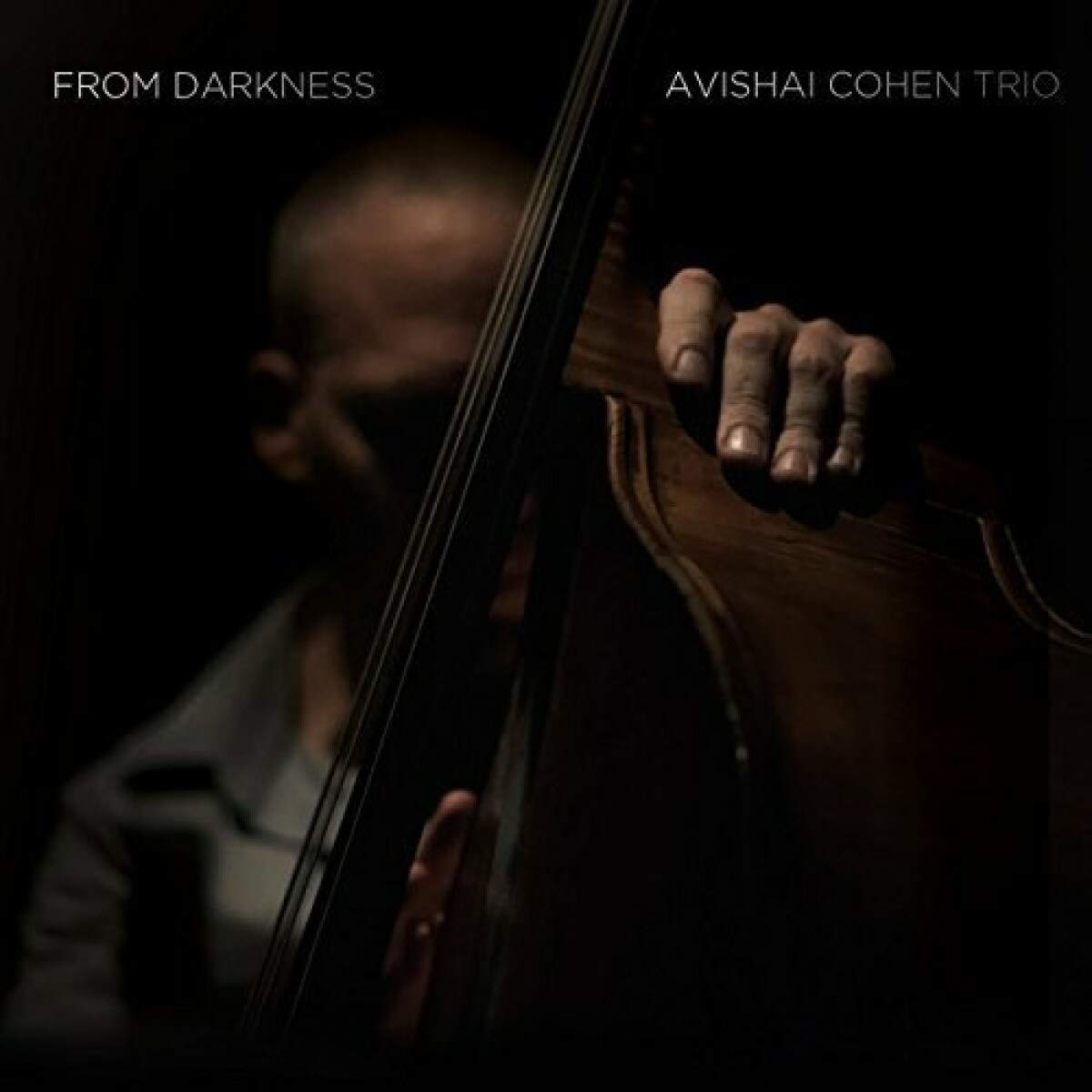 

Avishai Cohen Trio From Darkness (Винил)