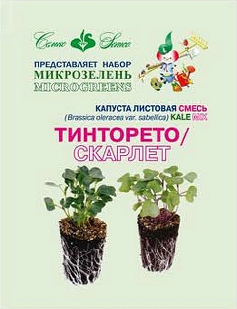 

Набор Микрозелень "Семко" Капуста Тинторето Скарлет 2г
