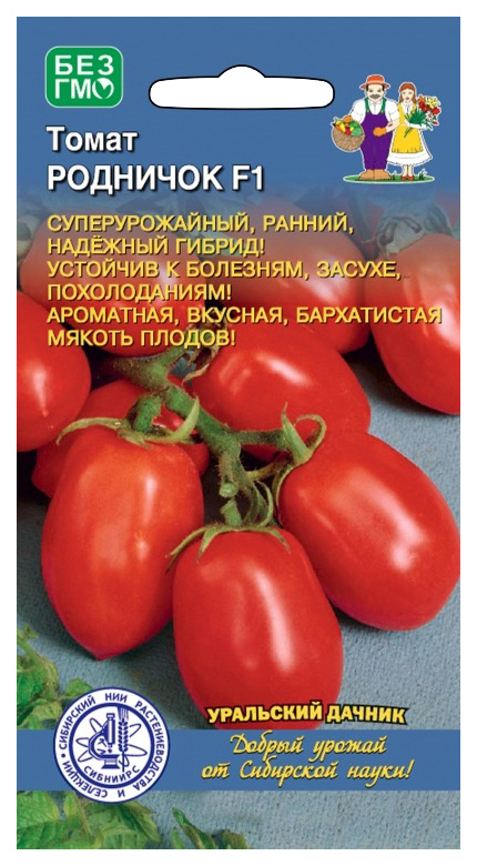 Родничок f1 отзывы. Томат Родничок f1 ®. Родничок f1 томат описание. Сорт помидор Родничок. Томат кистевой Сытый хозяин f1 Уральский Дачник.