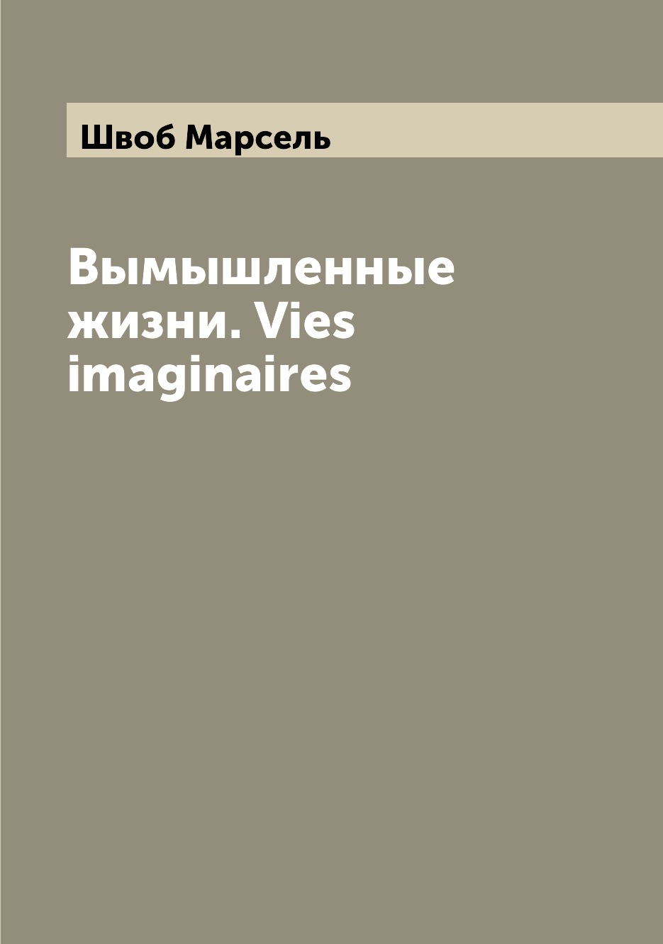 

Книга Вымышленные жизни. Vies imaginaires