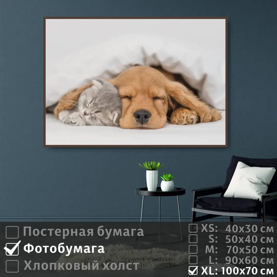 

Постер на фотобумаге ПолиЦентр Спящие котенок и щенок 100х70 см, СпящиеКотенокИЩенок1