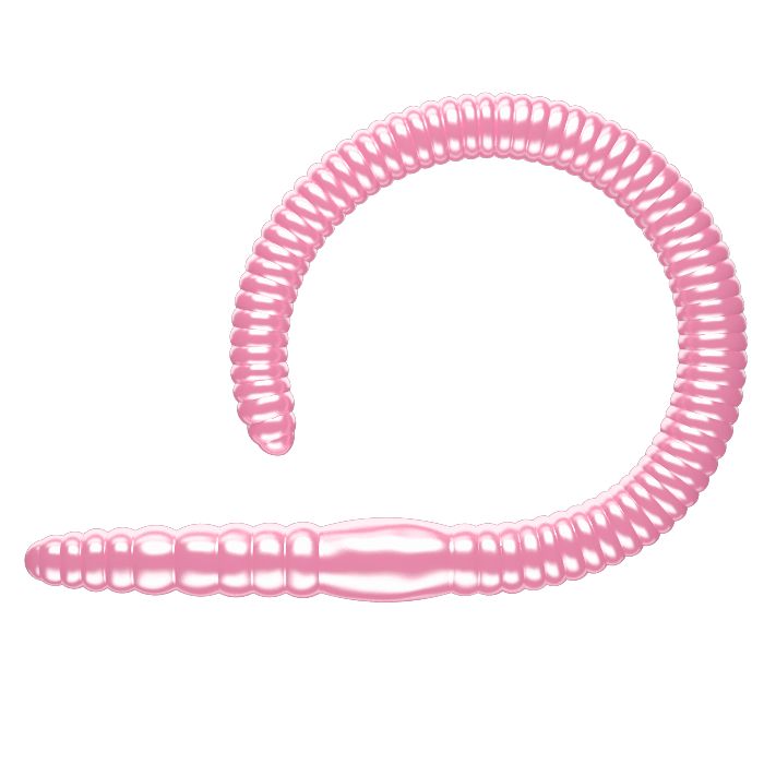 

Силиконовая приманка Libra Lures Flex Worm сыр 95 мм цвет 018 10 шт, Разноцветный, Flex Worm сыр