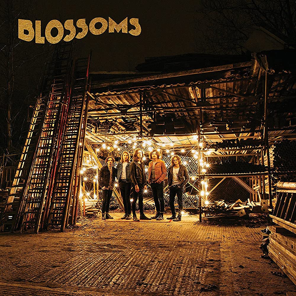 Blossoms Blossoms (LP)