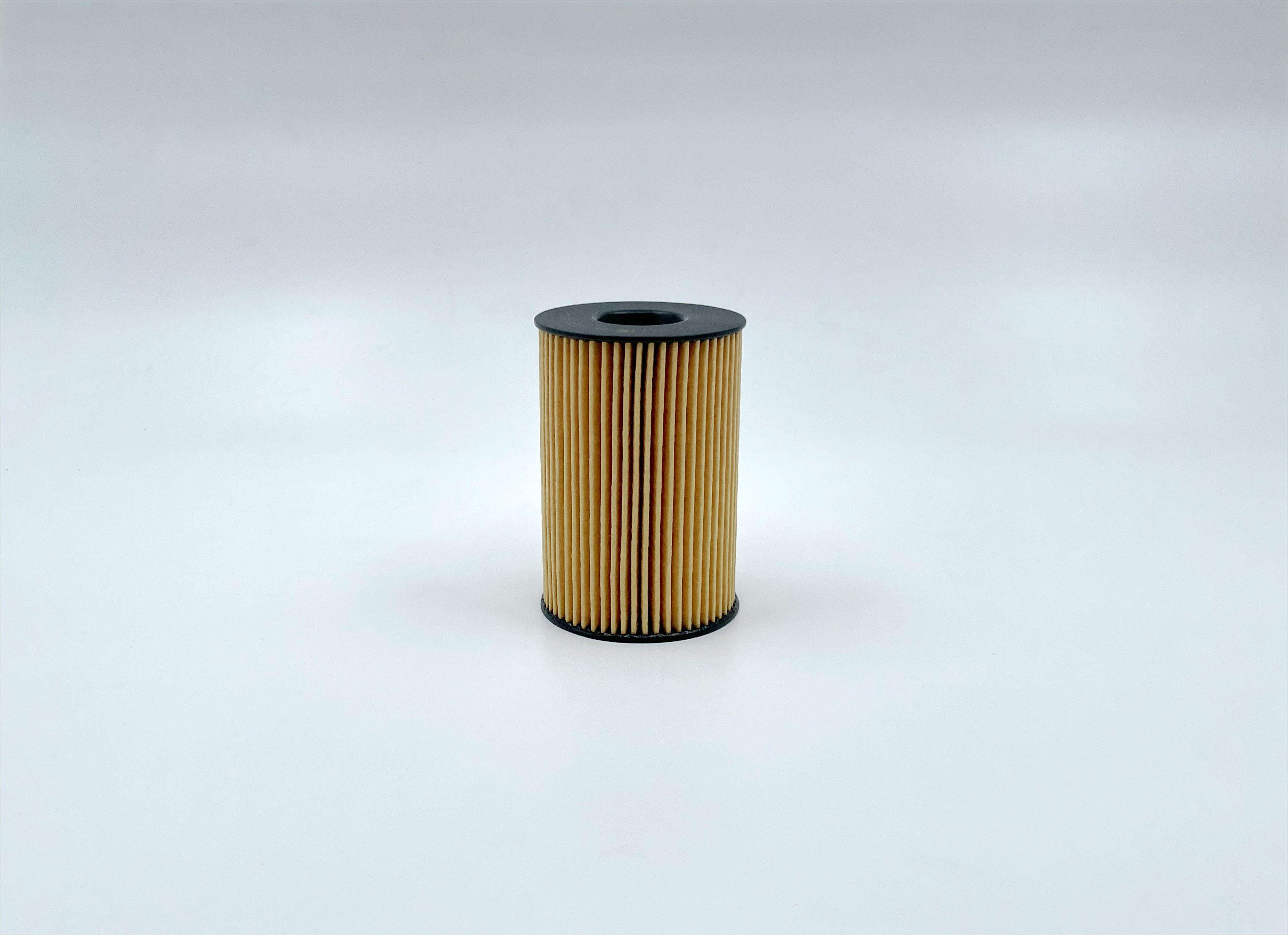 

Фильтр Масляный [Вставка] BIG FILTER арт. GB1453EC