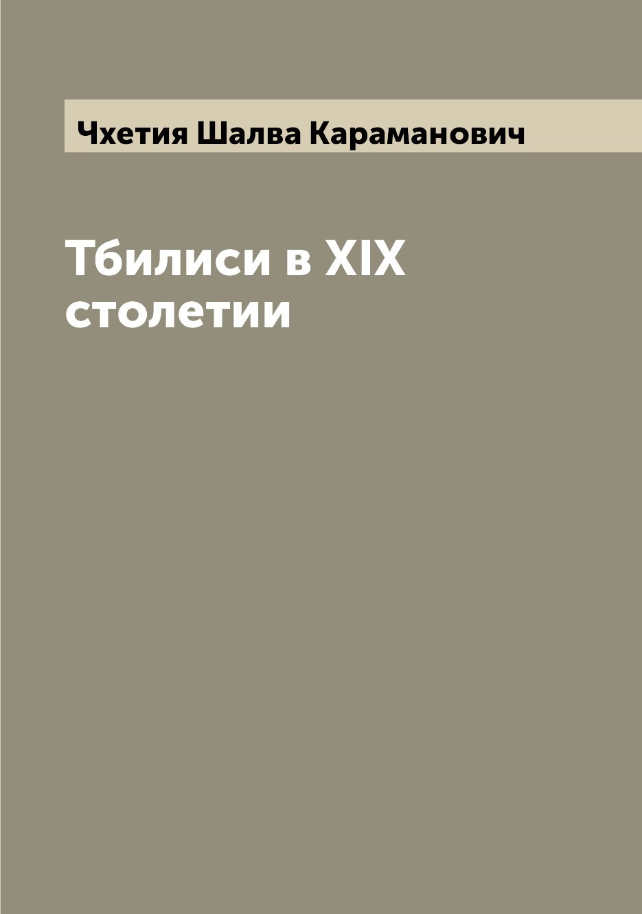 

Тбилиси в XIX столетии