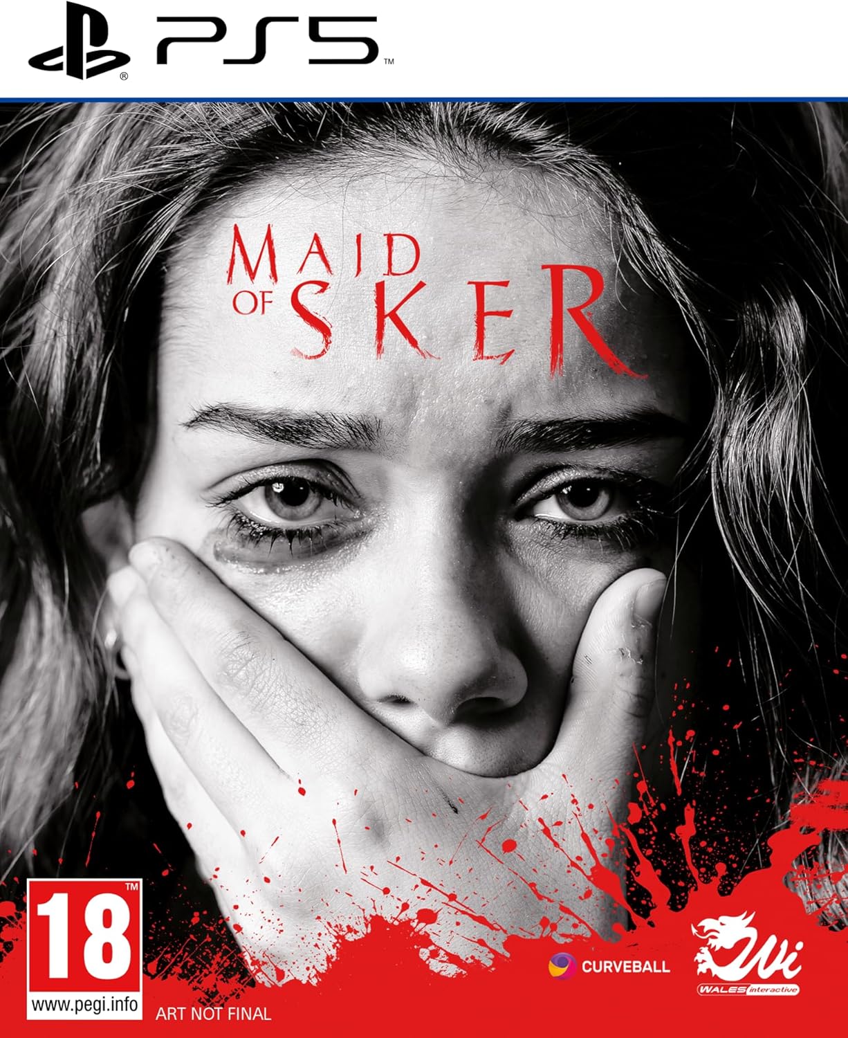 

Игра Maid of Sker (PlayStation 5, русские субтитры), Maid of Sker