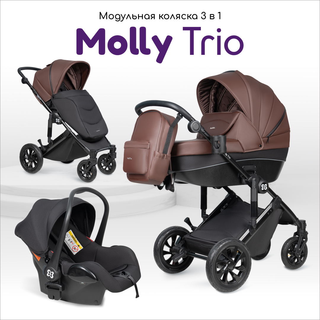 Коляска 3в1 Farfello модульная для новорожденных Molly Trio Chocolate PU, Шоколадный MT-4