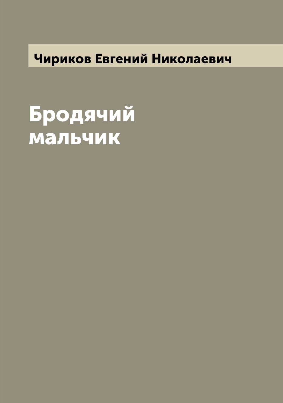 

Книга Бродячий мальчик