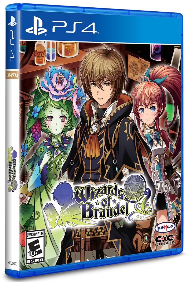 Игра Wizards of Brandel PlayStation 4 полностью на иностранном языке 10190₽