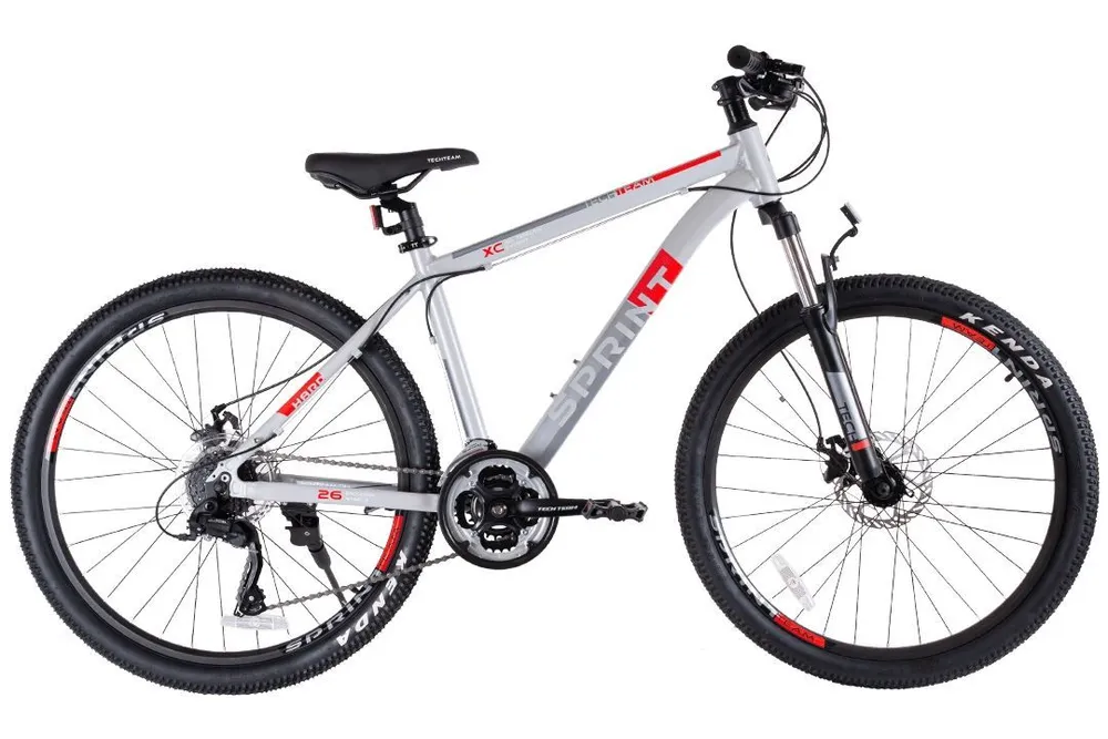 Велосипед TechTeam Sprint 26х20 серый 2325300₽